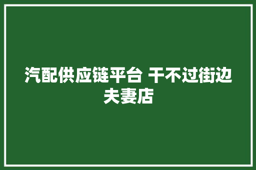 汽配供应链平台 干不过街边夫妻店