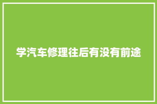 学汽车修理往后有没有前途
