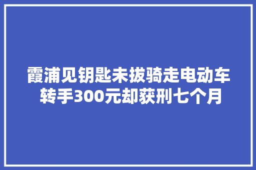 霞浦见钥匙未拔骑走电动车 转手300元却获刑七个月