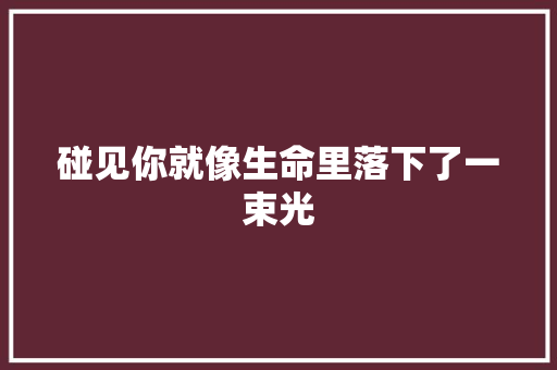 碰见你就像生命里落下了一束光
