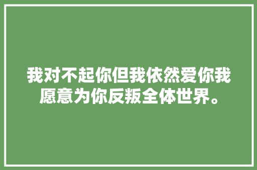 我对不起你但我依然爱你我愿意为你反叛全体世界。