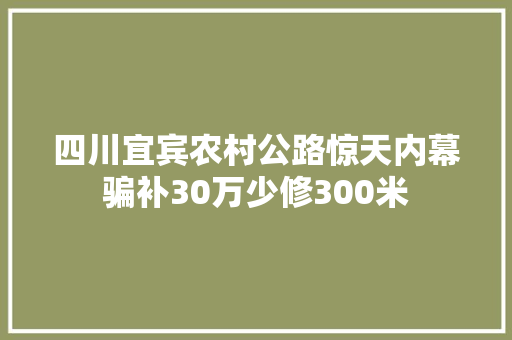 四川宜宾农村公路惊天内幕骗补30万少修300米