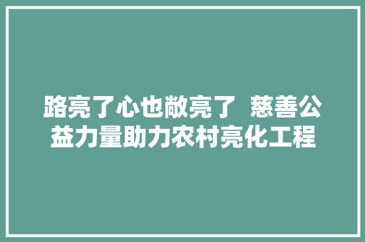 路亮了心也敞亮了  慈善公益力量助力农村亮化工程