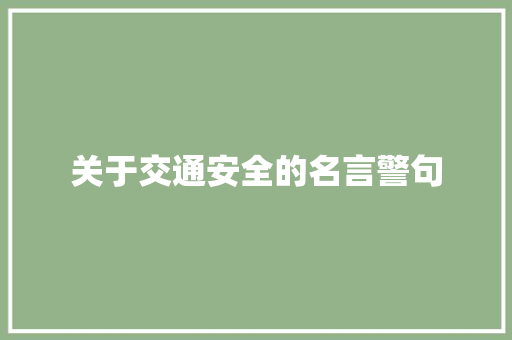 关于交通安全的名言警句