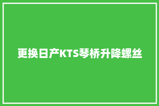 更换日产KTS琴桥升降螺丝