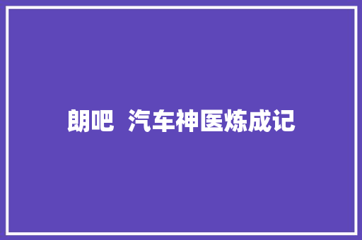 朗吧  汽车神医炼成记