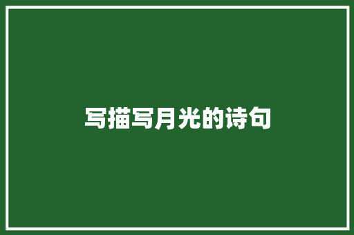 写描写月光的诗句