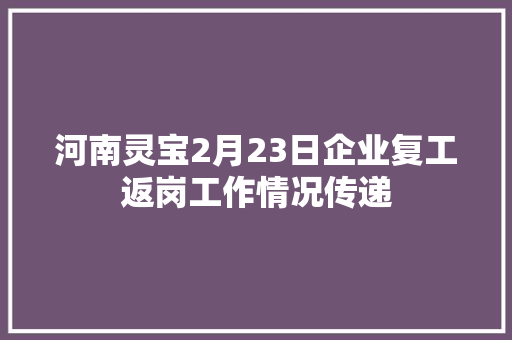 河南灵宝2月23日企业复工返岗工作情况传递
