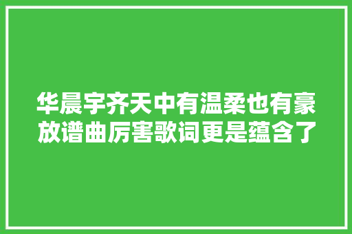 华晨宇齐天中有温柔也有豪放谱曲厉害歌词更是蕴含了玄机