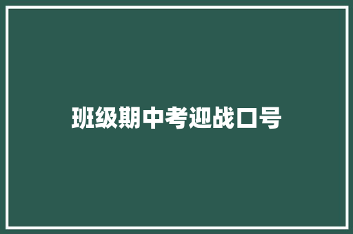 班级期中考迎战口号