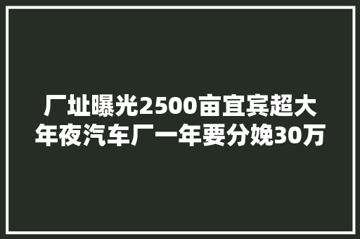厂址曝光2500亩宜宾超大年夜汽车厂一年要分娩30万辆汽车