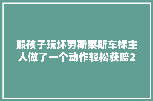 熊孩子玩坏劳斯莱斯车标主人做了一个动作轻松获赔25万