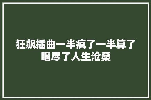 狂飙插曲一半疯了一半算了唱尽了人生沧桑