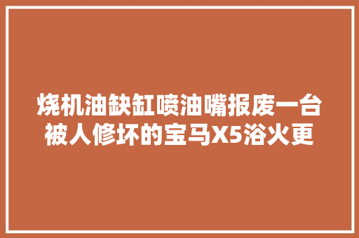 烧机油缺缸喷油嘴报废一台被人修坏的宝马X5浴火更生