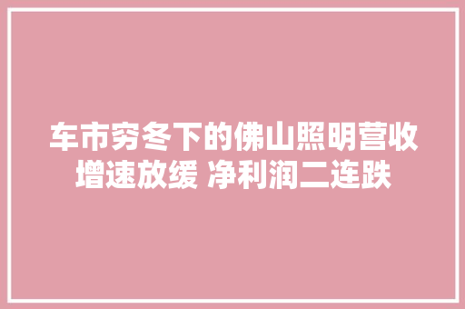 车市穷冬下的佛山照明营收增速放缓 净利润二连跌