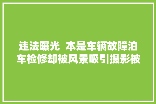 违法曝光  本是车辆故障泊车检修却被风景吸引摄影被处罚
