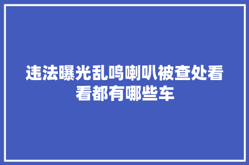 违法曝光乱鸣喇叭被查处看看都有哪些车