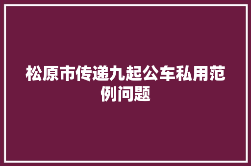 松原市传递九起公车私用范例问题