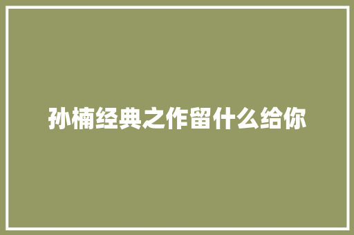 孙楠经典之作留什么给你