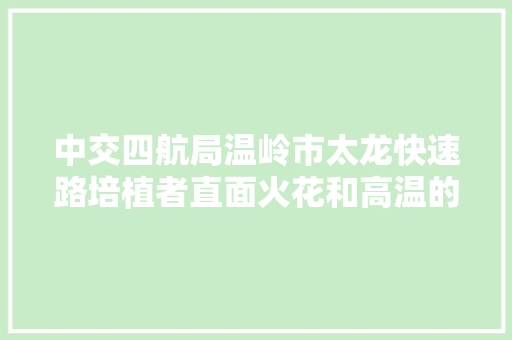 中交四航局温岭市太龙快速路培植者直面火花和高温的双重烤验