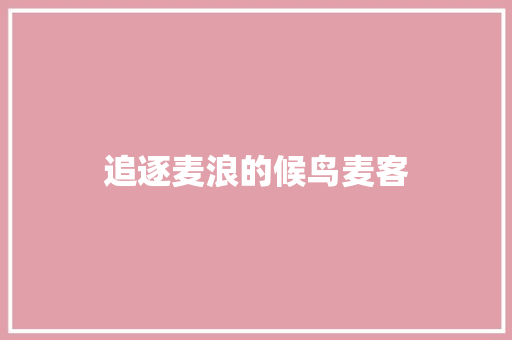 追逐麦浪的候鸟麦客