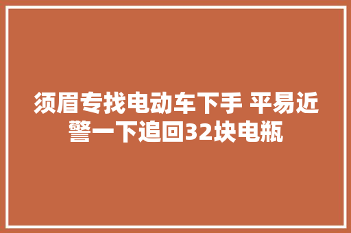 须眉专找电动车下手 平易近警一下追回32块电瓶