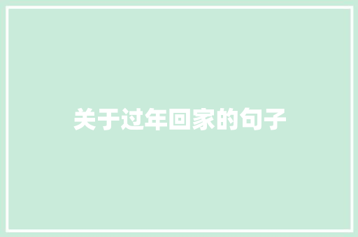 关于过年回家的句子