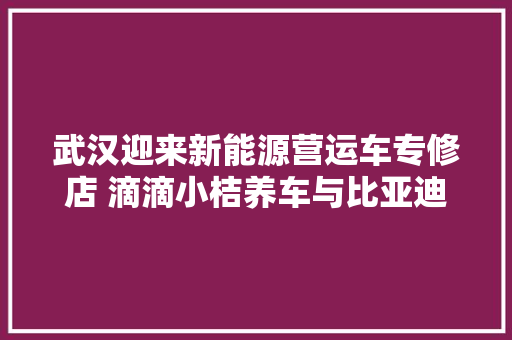 武汉迎来新能源营运车专修店 滴滴小桔养车与比亚迪合作打造一站式汽车维保平台 汽车知识