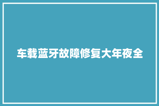 车载蓝牙故障修复大年夜全