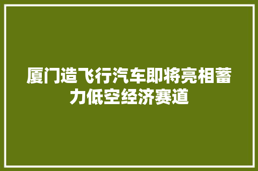 厦门造飞行汽车即将亮相蓄力低空经济赛道
