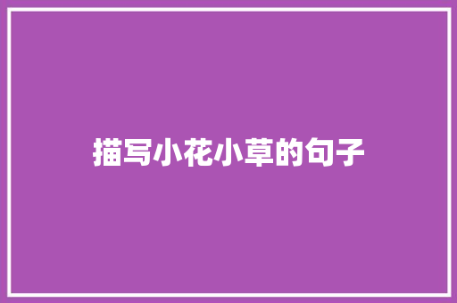 描写小花小草的句子