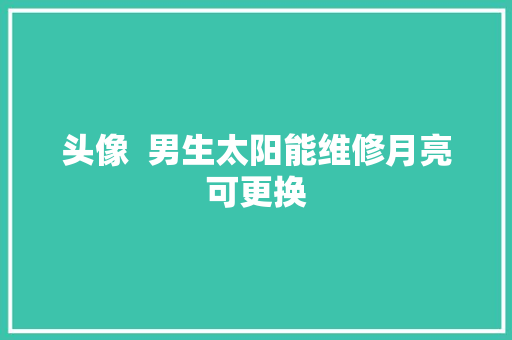 头像  男生太阳能维修月亮可更换