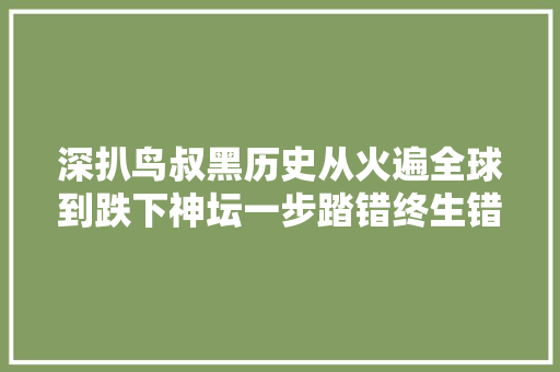 深扒鸟叔黑历史从火遍全球到跌下神坛一步踏错终生错