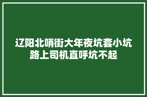辽阳北哨街大年夜坑套小坑路上司机直呼坑不起