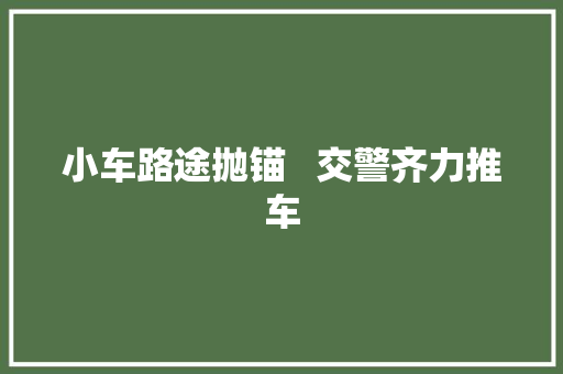 小车路途抛锚   交警齐力推车