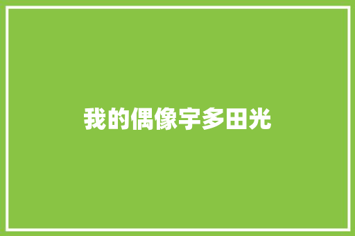 我的偶像宇多田光