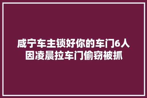 咸宁车主锁好你的车门6人因凌晨拉车门偷窃被抓