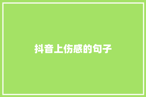 抖音上伤感的句子