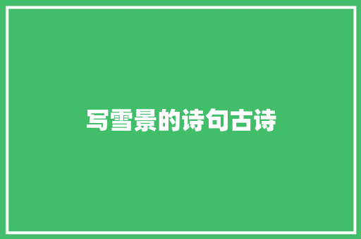 写雪景的诗句古诗