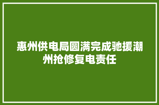 惠州供电局圆满完成驰援潮州抢修复电责任