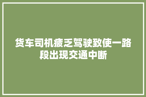 货车司机疲乏驾驶致使一路段出现交通中断