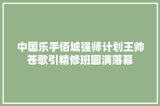 中国乐手佰城强师计划王帅苍歌引精修班圆满落幕 汽车知识
