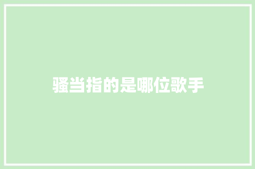 骚当指的是哪位歌手