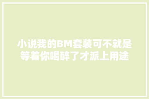 小说我的BM套装可不就是等着你喝醉了才派上用途