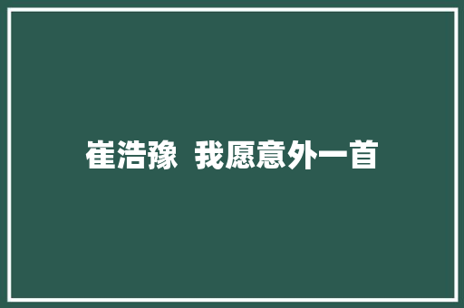 崔浩豫  我愿意外一首