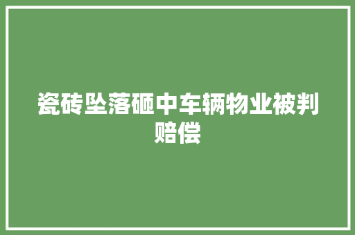 瓷砖坠落砸中车辆物业被判赔偿 汽车知识
