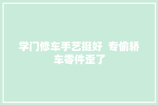 学门修车手艺挺好  专偷轿车零件歪了 汽车知识