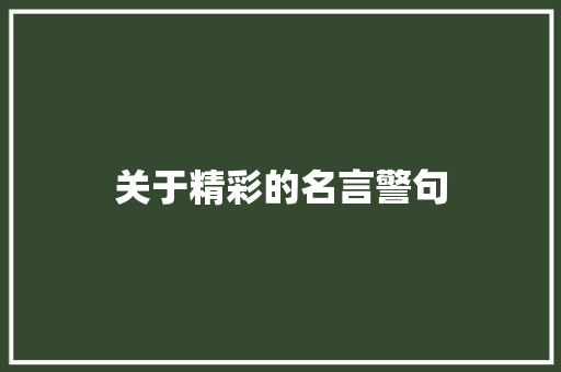 关于精彩的名言警句