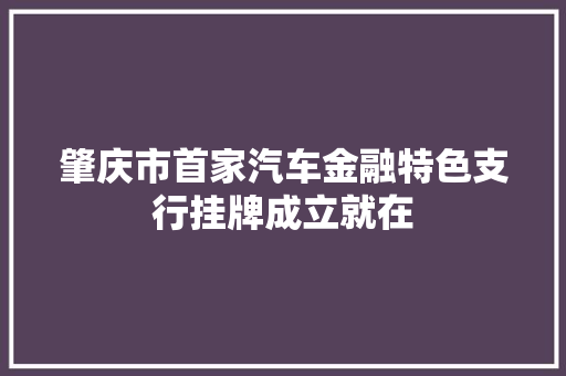 肇庆市首家汽车金融特色支行挂牌成立就在