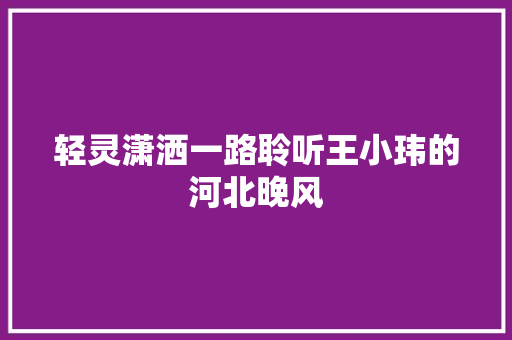 轻灵潇洒一路聆听王小玮的河北晚风